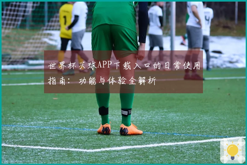 世界杯买球APP下载入口的日常使用指南：功能与体验全解析