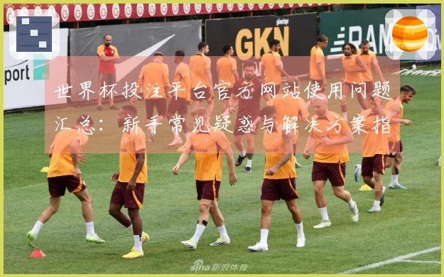 世界杯投注平台官方网站使用问题汇总：新手常见疑惑与解决方案指南
