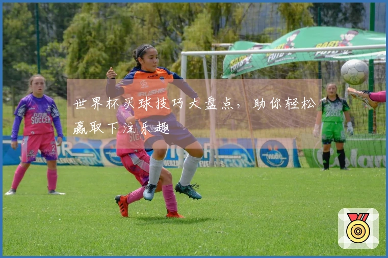 世界杯买球技巧大盘点,助你轻松赢取下注乐趣