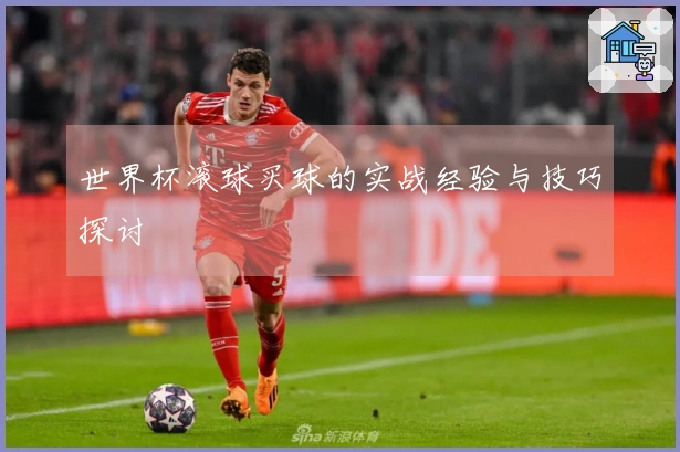 世界杯滚球买球的实战经验与技巧探讨