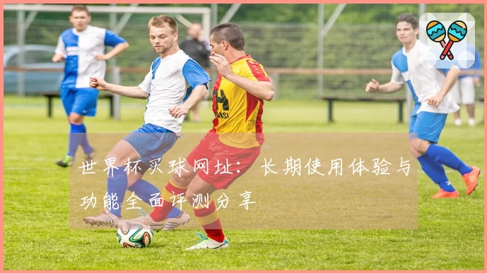 世界杯买球网址：长期使用体验与功能全面评测分享