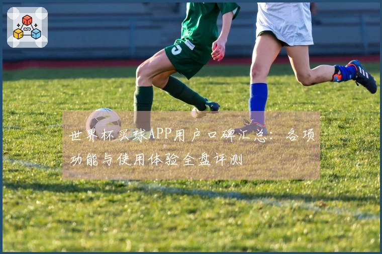 世界杯买球APP用户口碑汇总：各项功能与使用体验全盘评测