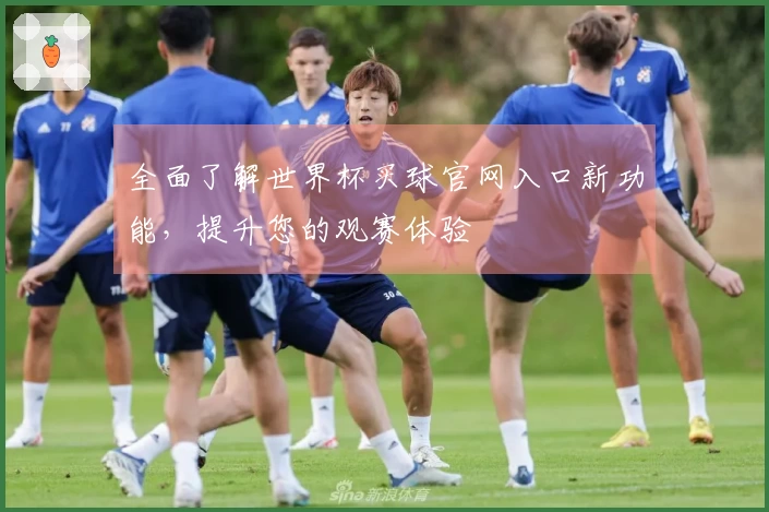 全面了解世界杯买球官网入口新功能，提升您的观赛体验