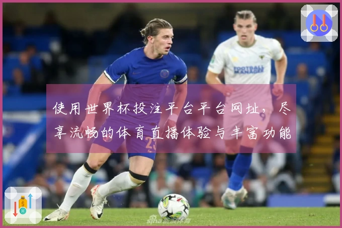 使用世界杯投注平台平台网址，尽享流畅的体育直播体验与丰富功能介绍