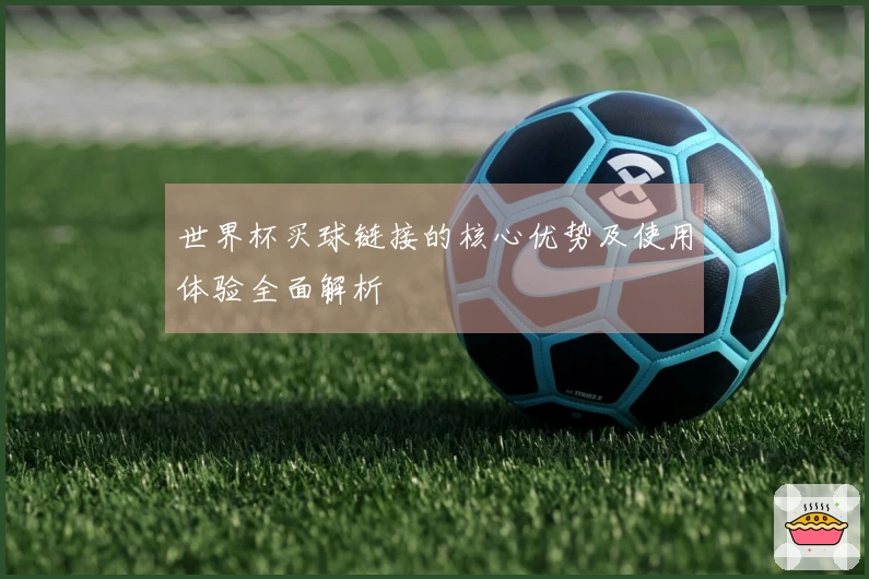 世界杯买球链接的核心优势及使用体验全面解析