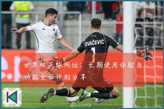 世界杯买球网址：长期使用体验与功能全面评测分享